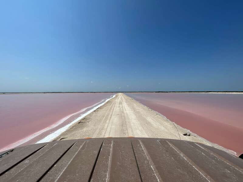 Las Coloradas: Pink Lakes Safari Tour - Final Thoughts: Is It Worth It?