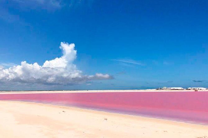 Las Coloradas & Rio Lagartos, Beautiful Eco Adventure from Tulum City - A Closer Look: What to Expect from This Eco Tour