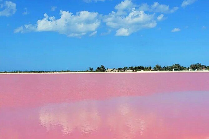 Las Coloradas & Río Lagartos with boat & Lunch from Mérida - Practical Tips for the Tour