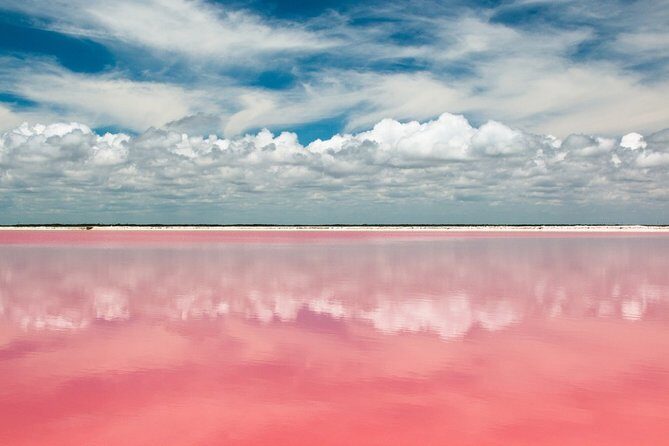 Las Coloradas Tour from Cancun and Playa del Carmen - The Itinerary: What to Expect