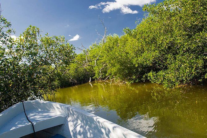 Las Coloradas Tour from Cancun and Playa del Carmen - FAQ: Practical Questions About the Las Coloradas Tour