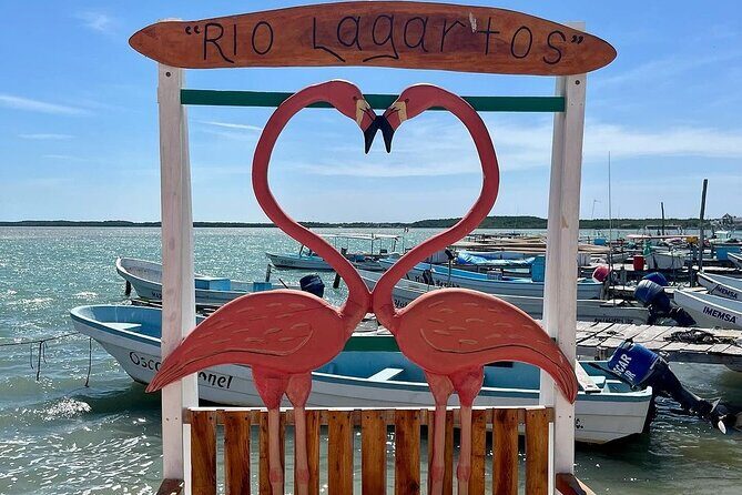 Las Coloradas Tour to Pink Lakes and Wildlife Wonders - The Sum Up: Who Should Consider This Tour?