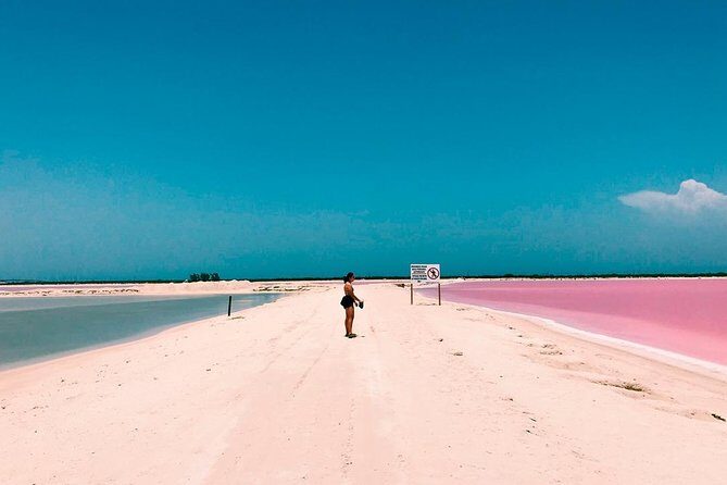 Las Coloradas Tour With Transportation from Playa del Carmen - FAQ