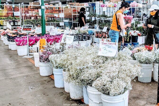 LAs Fashion & Flower District: Private Half-Day Walking Tour - The True Value of the Experience