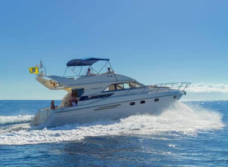 Las Galletas: Private Luxury Yacht Cruise with Lunch - An In-Depth Look at the Experience