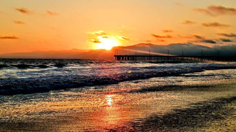 LA's Most Romantic Luxury Wine & Dine Boat Cruise & Sealions - The Luxurious Food and Drink Experience