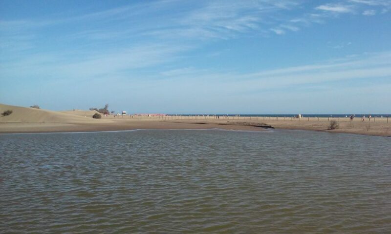 Las Palmas: 8-Hour Gran Canaria Island Highlights Tour - Key Points