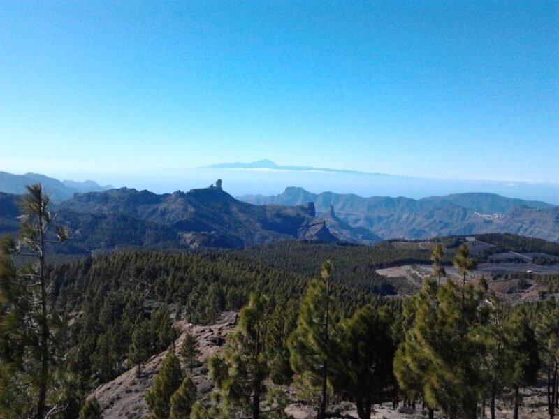 Las Palmas: 8-Hour Gran Canaria Island Highlights Tour - Practical Details and Tips