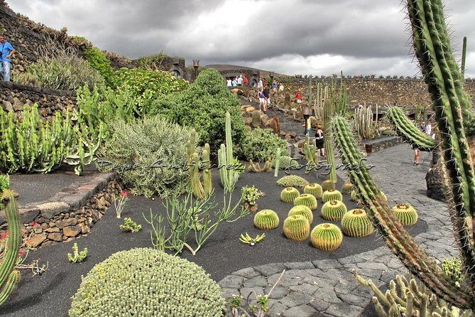 Las Palmas, Botanical Garden & Bandama Crater tour - Gran Canaria - Who Will Love This Tour?
