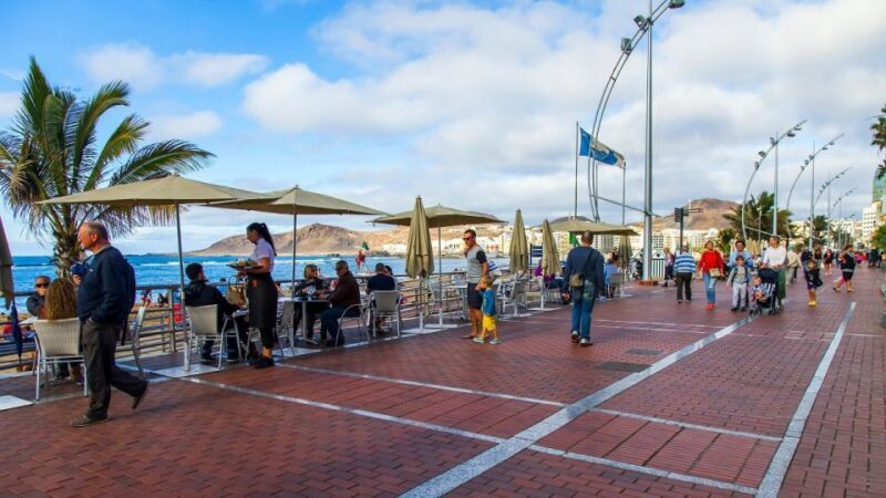 Las Palmas, Botanical Gardens and Bandama Volcano Tour - A Full Breakdown of the Experience