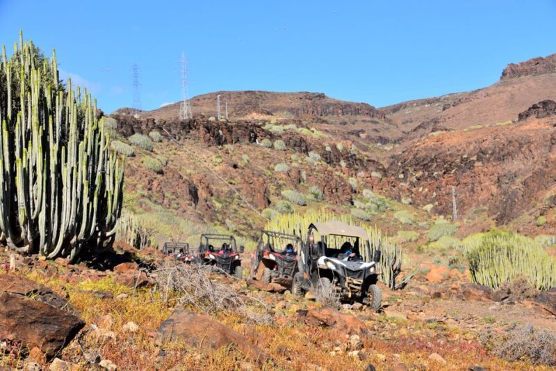 Las Palmas: Gran Canaria Guided Buggy Tour - Key Points