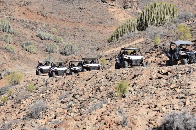 Las Palmas: Gran Canaria Guided Buggy Tour - Who Should Consider This Tour?