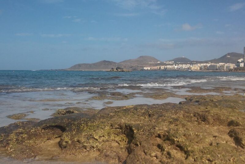 Las Palmas: Las Canteras Beach Snorkeling Trip - Key Points