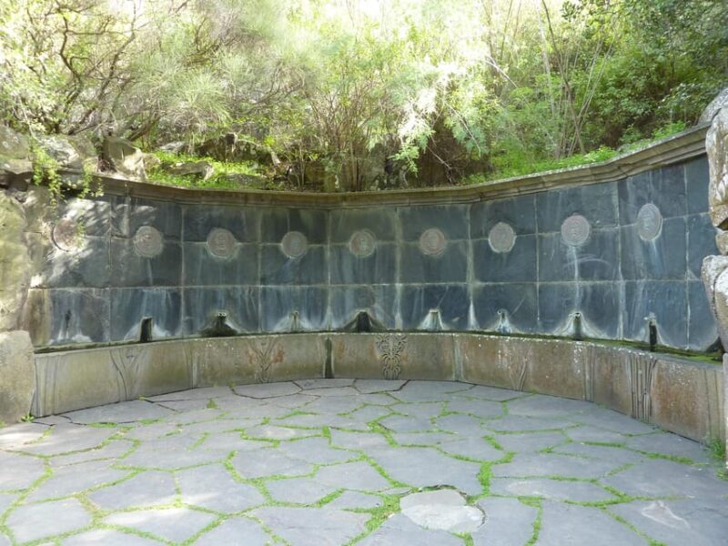 Las Palmas: Privat Botanic Garden Tour & opt. hike Extension - Who Should Consider This Tour?