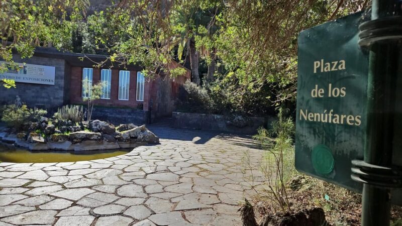 Las Palmas: Privat Botanic Garden Tour & opt. hike Extension - Frequently Asked Questions