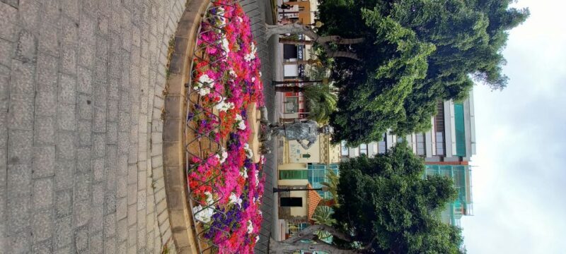 Las Palmas: Private City Highlights & Northern Villages Tour - Value for Money