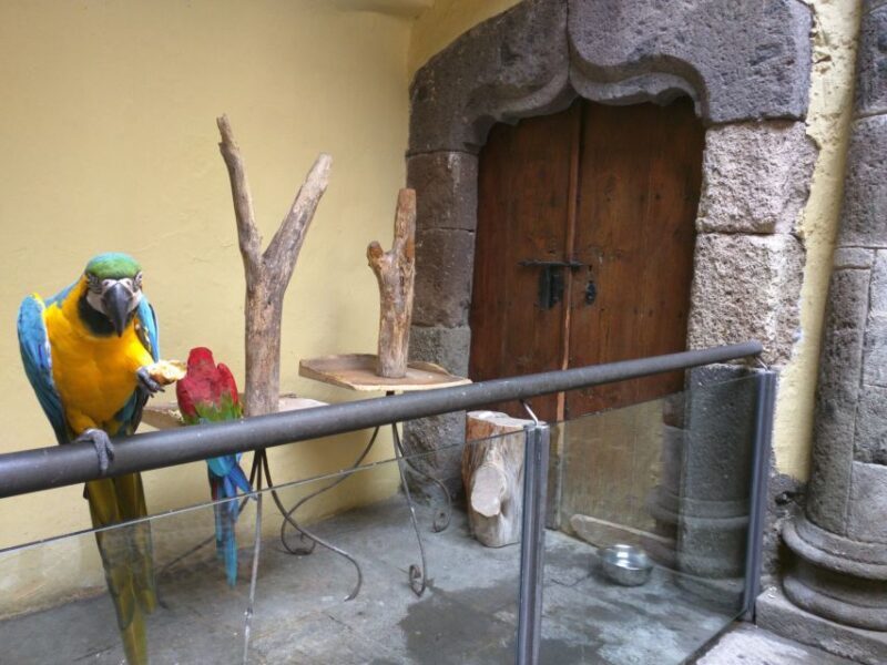 Las Palmas: Private Old City Guided Walking Tour with Tapas - What We Loved About the Experience