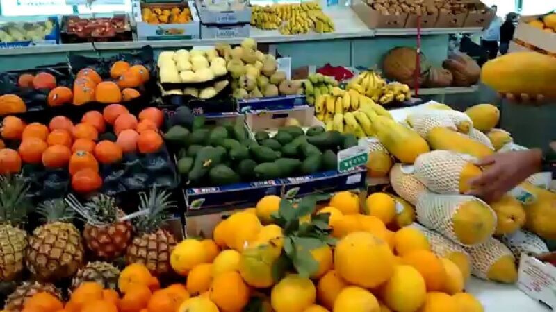 Las Palmas: Private Old City Guided Walking Tour with Tapas - Considerations and Who Should Book