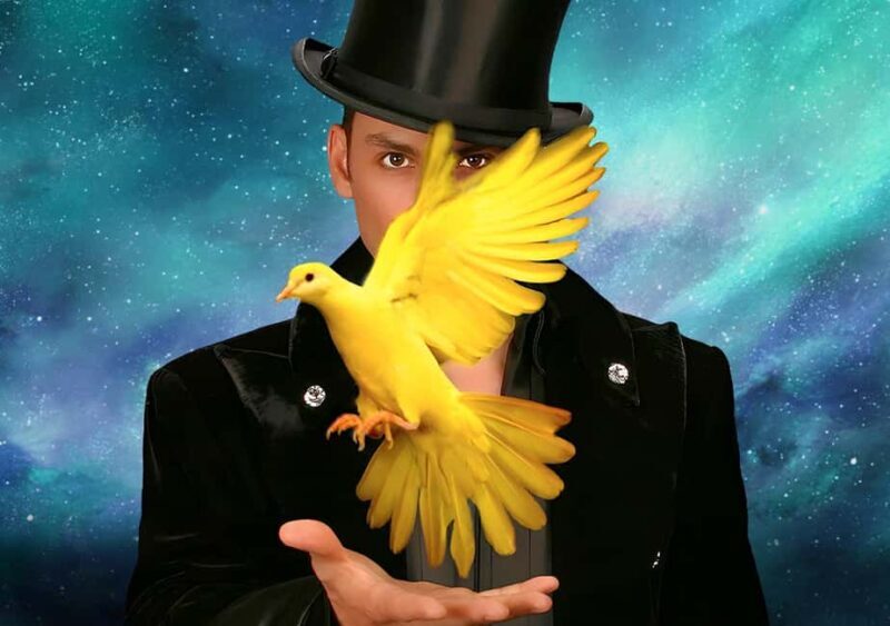 Las Vegas: Allstars Of Magic - Key Points