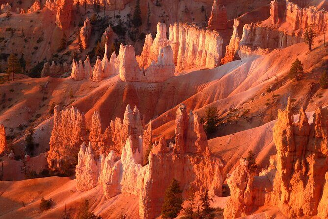 Las Vegas Antelope Canyon, Bryce Canyon, Zion 2 Days Tour - The Journey Begins: Comfort and Convenience