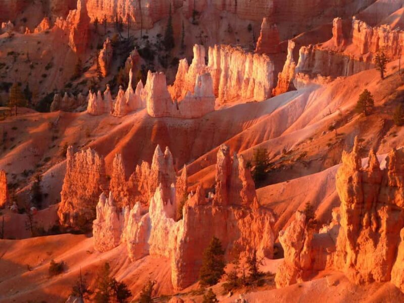 Las Vegas: Antelope Canyon, Bryce, Zion, Horseshoe Bend Tour - The Value: Does It Worth It?