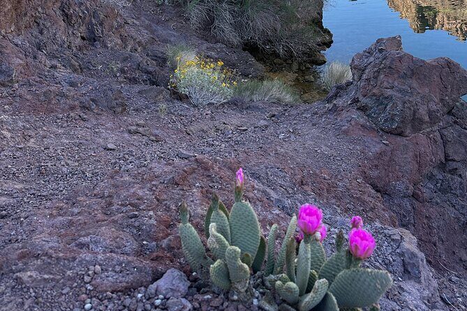 Las Vegas: Arizona Hot Springs Hike with Certified Hiking Guide - Frequently Asked Questions