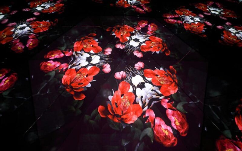 Las Vegas: Arte Museum Las Vegas Immersive Art Exhibition - Key Points
