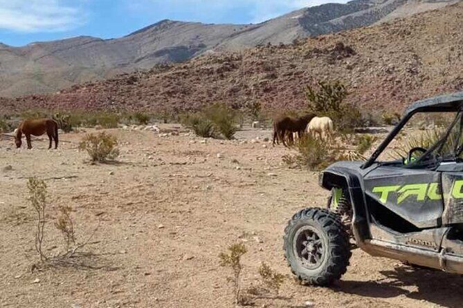 Las Vegas ATV/ RZR Off Road Adventure - Is This Tour Worth the Money?