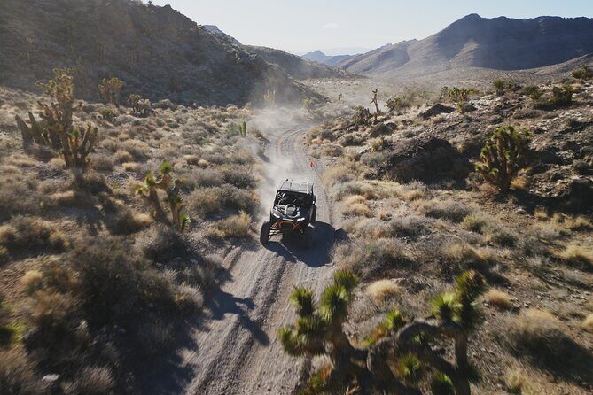 Las Vegas ATV Tour with Free Transportation - Final Thoughts: Who is This Tour Best For?