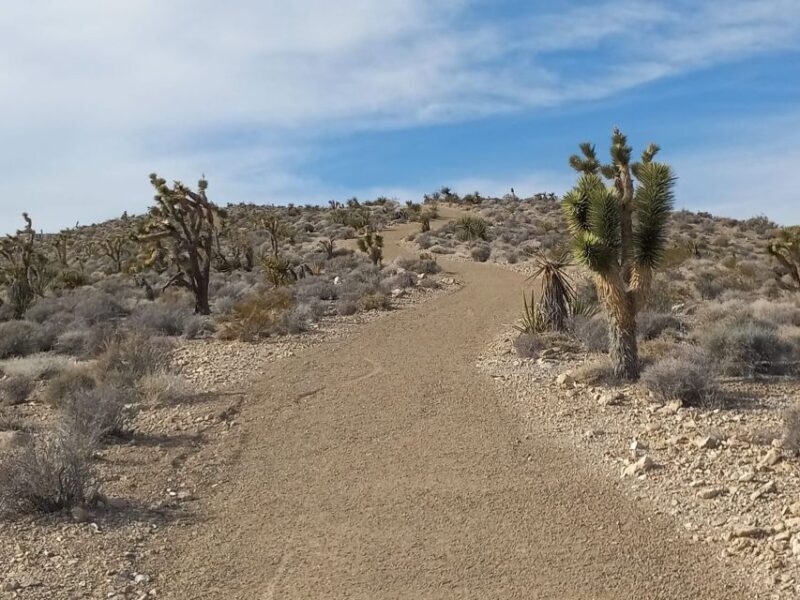 Las Vegas ATV Tours - The Itinerary and Trail Experience