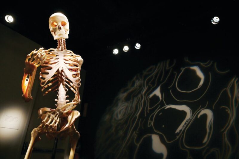 Las Vegas: BODIES | The Exhibition at the Luxor - Practical Considerations