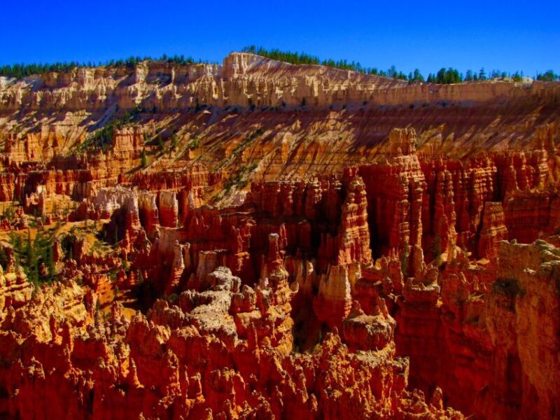 Las Vegas: Bryce and Zion National Parks Tour with Lunch - Final Thoughts