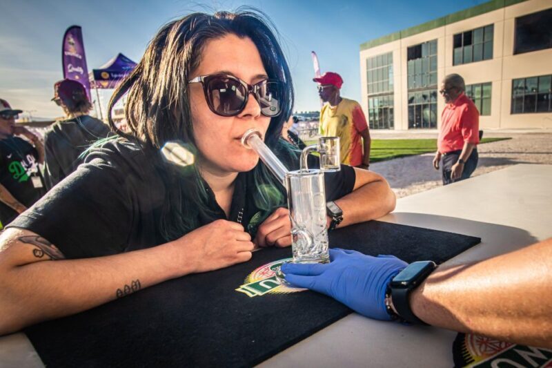 Las Vegas: Cannabis Tour with Weed Lounge & Party Bus - Final Thoughts: Is It Worth It?
