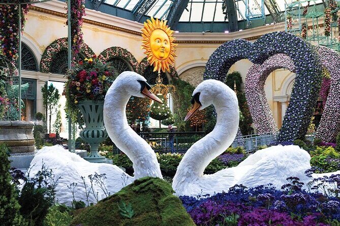 Las Vegas City Tour, Sightseeing with Stops at the Best Casinos - Practical Details and What to Expect