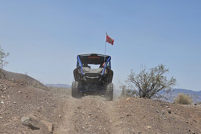 Las Vegas Desert Buggy & ATV Tour with Pickup - Final Verdict