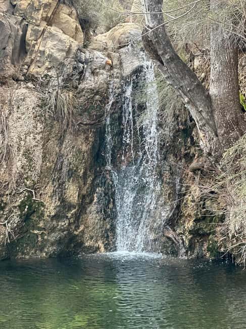 Las Vegas: Family Friendly Guided Hike to Emerald Falls - Key Points