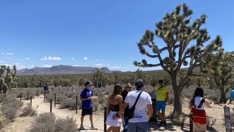 Las Vegas: Grand Canyon Helicopter & Ranch Adventure by Bus - What Makes This Tour Stand Out?