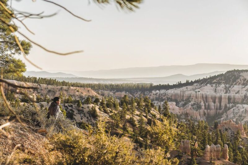Las Vegas: Grand Canyon National Park South Rim Guided Tour - Final Thoughts: Is This Tour Worth It?