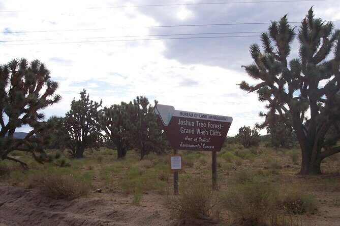 Las Vegas: Grand Canyon West Rim Bus Tour with Skywalk - FAQ