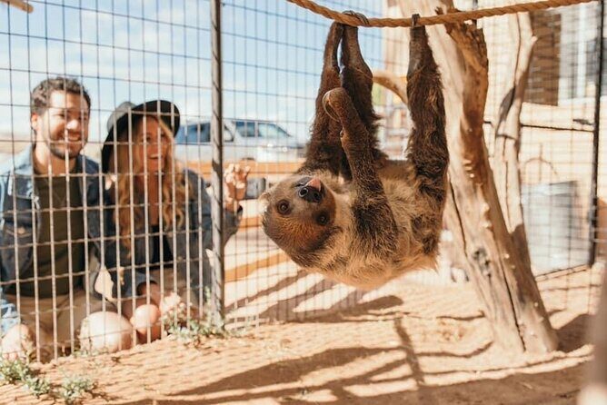 Las Vegas Guided UTV Safari and Zoo Tour - Who Is This Tour Best For?