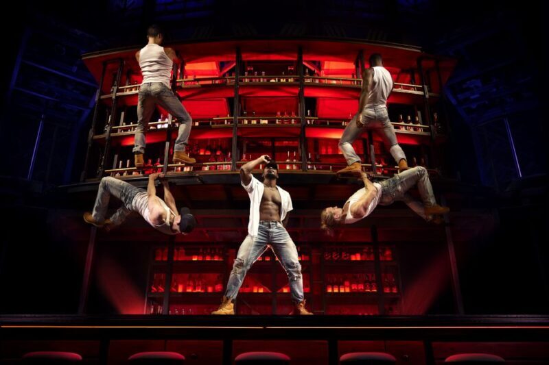 Las Vegas: Magic Mike Live Ticket - The Sum Up