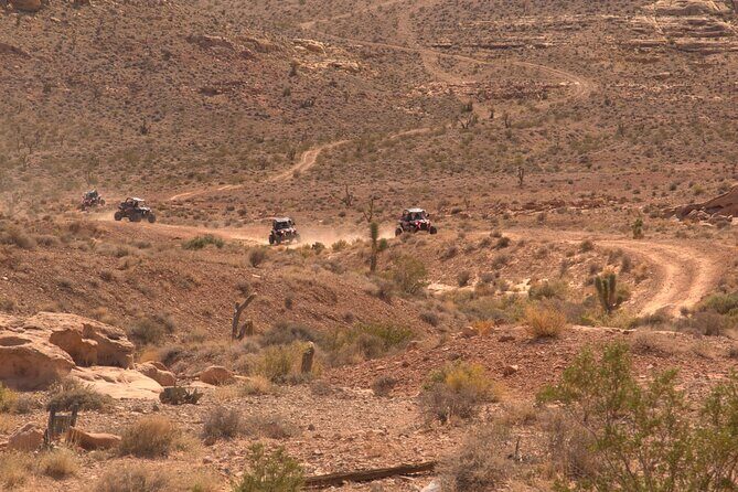 Las Vegas Mini Desert RZR Adventure - Scenic Stop at Seven Magic Mountains