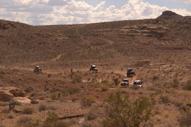 Las Vegas Mojave Off Road Adventure |Guided Tour-Let's Ride! - What the Reviews Say