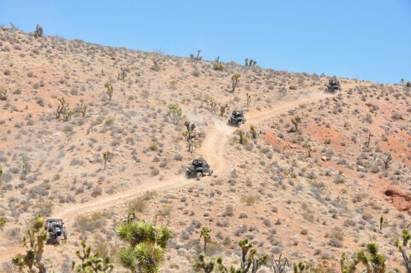 Las Vegas Mojave Off Road Adventure/Polaris RZR Guided Tour - Detailed Breakdown of the Experience