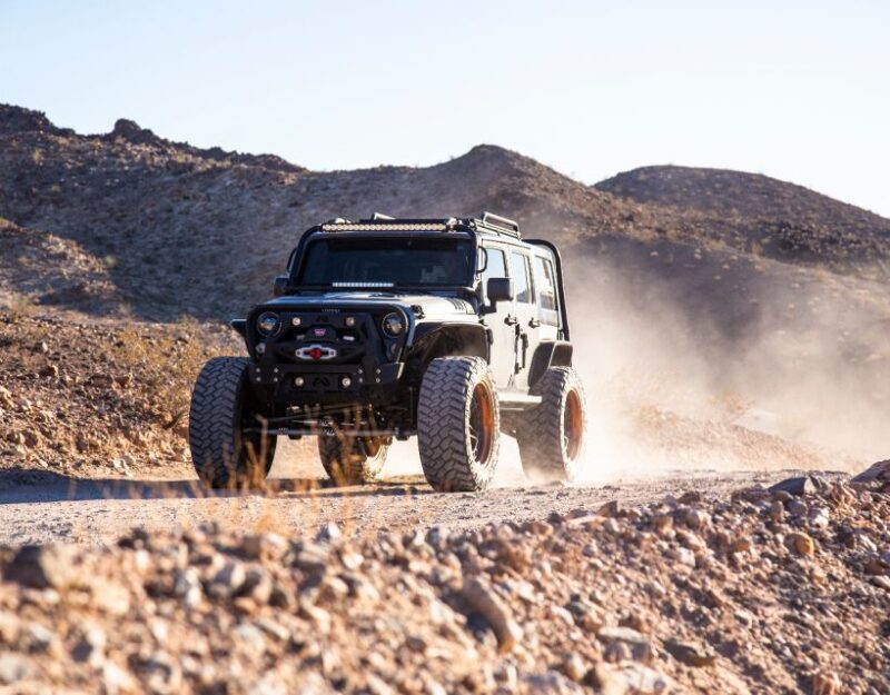 Las Vegas- Offroad Experience Wildlife, Ghost Towns and more - The Sum Up