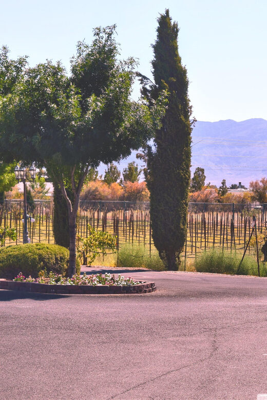 Las Vegas / Pahrump Wine Tasting Tour and snacks - Final Thoughts: Who Should Consider This Tour?