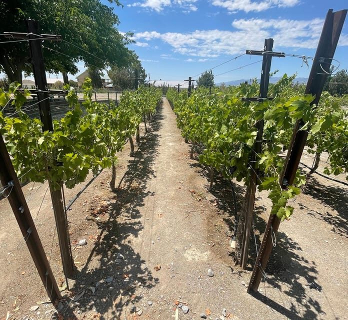 Las Vegas / Pahrump Wine Tasting Tour and snacks - The Sum Up
