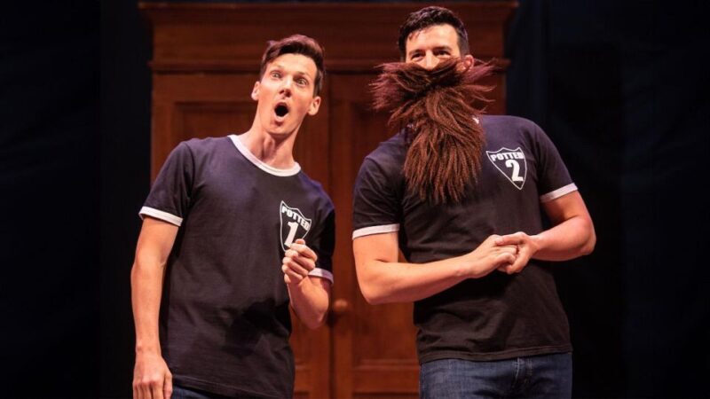 Las Vegas: Potted Potter - The Unauthorized Harry Experience - Who Should Consider This Experience?