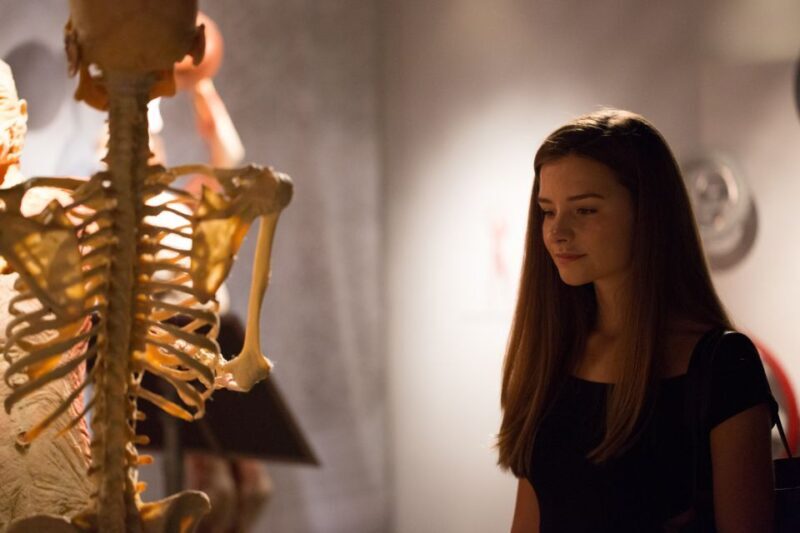 Las Vegas: REAL BODIES at Horseshoe Las Vegas Entry Ticket - What Is the REAL BODIES Exhibit All About?