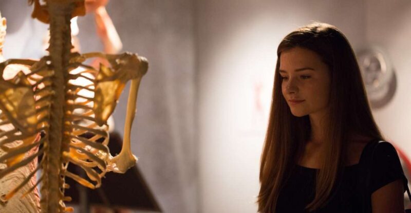 Las Vegas: REAL BODIES at Horseshoe Las Vegas Entry Ticket - Authenticity and Quality